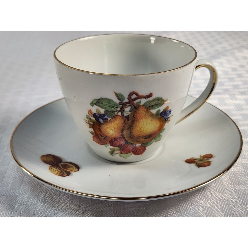 Bavaria West Germany SELTMANN WEIDEN Teacup & Saucer Fruit And Nuts